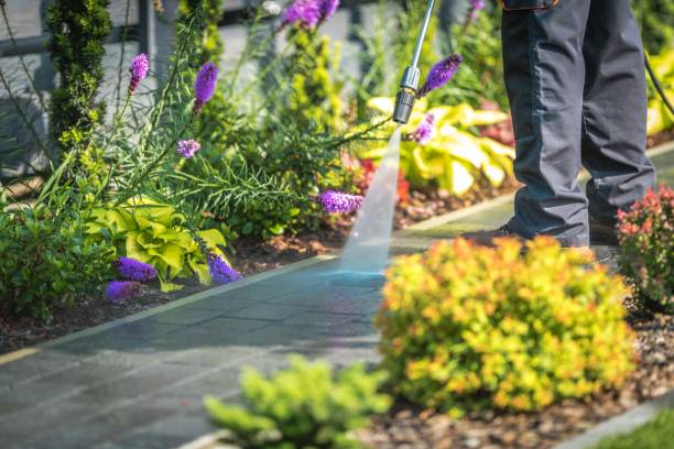 Best Fence Cleaning and Maintenance in Two Harbors, MN